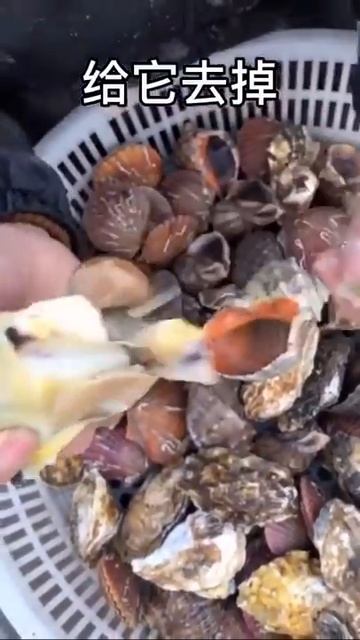 Chinese favorite molluscs - They eat all crazy shit смотреть онлайн