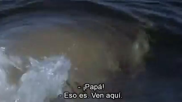 Jaws 2 ..Final смотреть онлайн