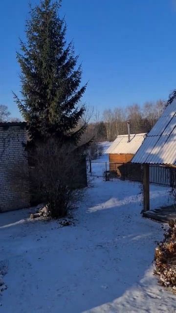 Змеи в Змеино смотреть онлайн