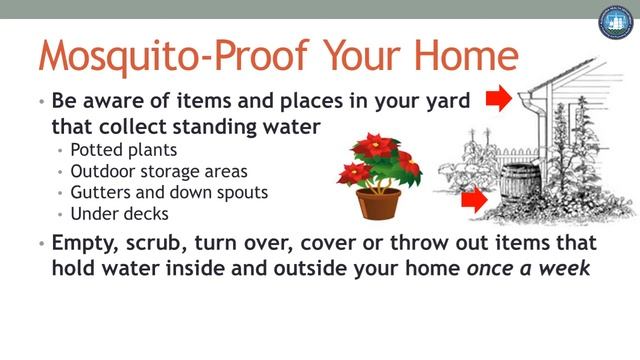 Mosquito Prevention Tips смотреть онлайн