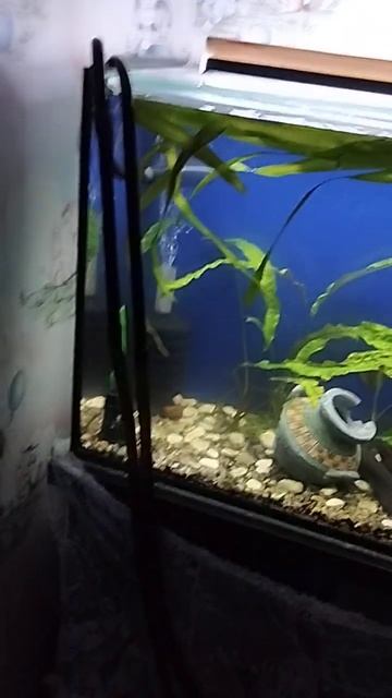 Для особо одарённых 🤣 @AQUA-borodach 👈 смотреть онлайн