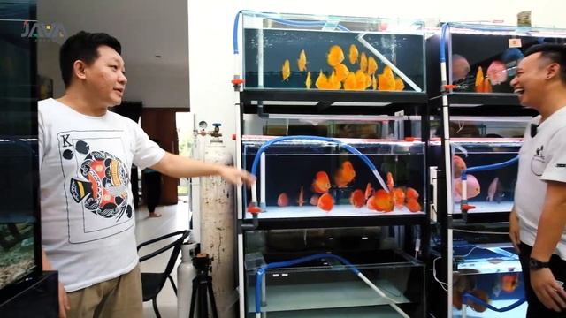 VISIT ZORA DISCUS | PREMIUM SELECTION DISCUS