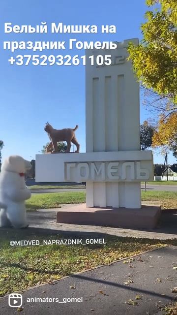 Белый Медведь Аниматор на день рождения Гомель смотреть онлайн