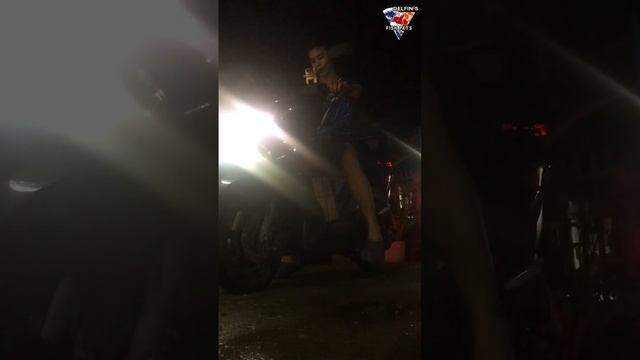 Glofish tetra colors #fish #ornamentalfish #aquarium #glofishtetra смотреть онлайн