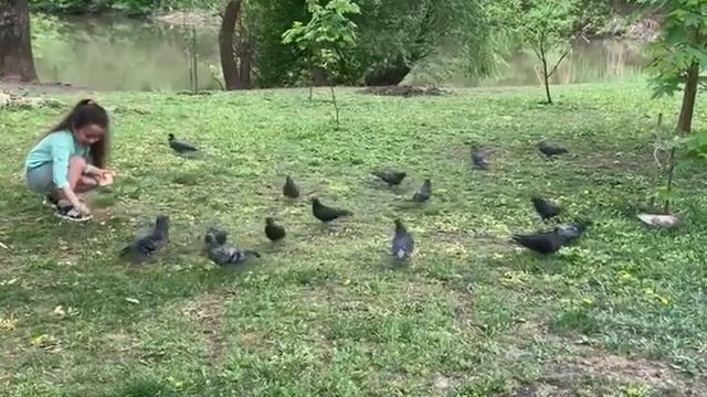 Как жизнь без Весны/музыка из к/ф "Гардемарины вперёд"-Ростов-на-Дону,апрель 2024🌱🦆👧🏻 смотреть онлайн