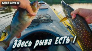 #10 Здесь рыба есть | Навстречу северным ветрам 2024