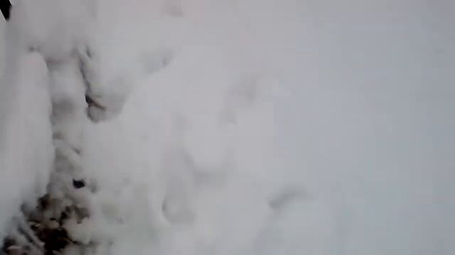 Куда ты Муха смотреть онлайн