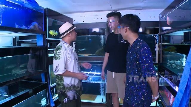 Alshad jadi Bestfriendnya A Irfan, Soalnya/// | Best Moment Safana (23/11/20) смотреть онлайн