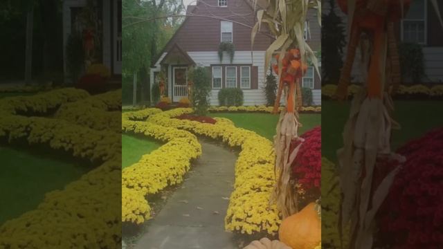 Идеи для сада и дачи! 100 интересных идей! DIY смотреть онлайн