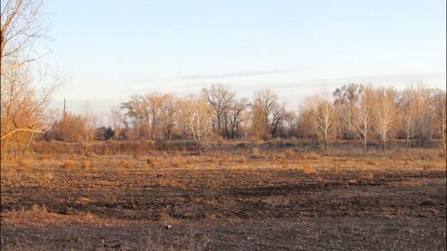 Как уничтожают пойму или ложь ради прибыли. смотреть онлайн