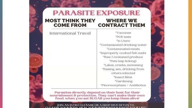 Diane Kazer: Are Parasites The Cause Of Many Of Your Health Issues? | The Food Code | Ep. 454 смотреть онлайн