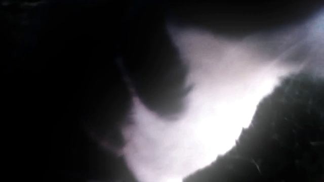 ЭДИТ НА 3-ЕХ КОТОВ? (творческое объединение "обрезки") смотреть онлайн