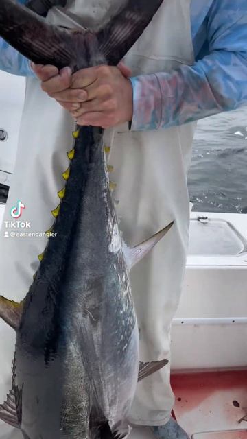 60LB BLUEFIN TUNA LANDED! смотреть онлайн