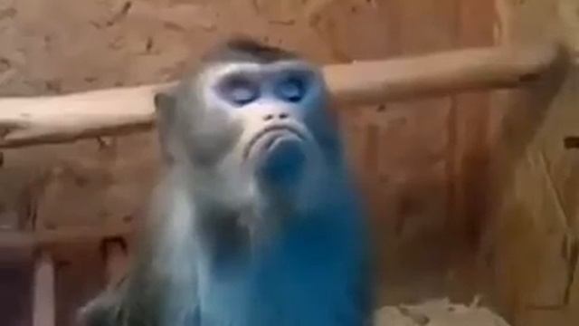 Когда обиделся смотреть онлайн