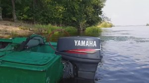 Yamaha 55 BEDS.