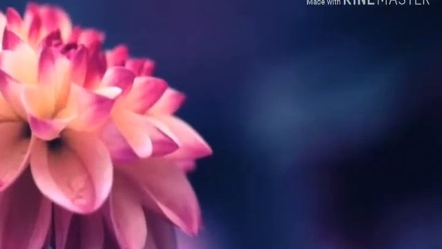Chama chama full song смотреть онлайн