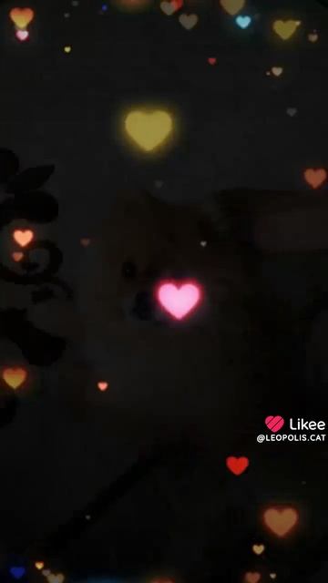 Наш Тимошка !