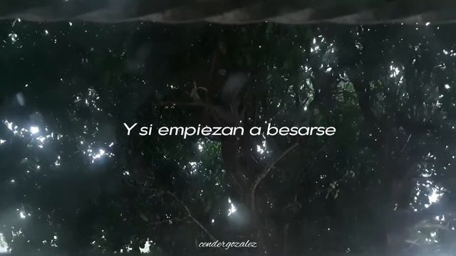 Lovers Rock ( TV Girl ) Lyrics Video