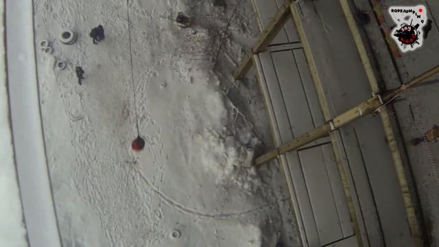 Say A A A! Рыба 28 декабря 2014 25 смотреть онлайн