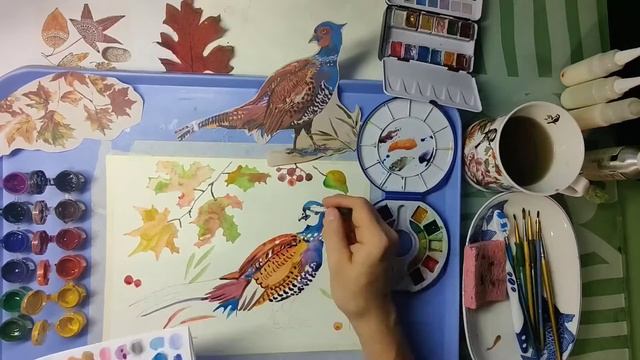 С Картнои по субботам: Фазан -акварелью. Pheasant - watercolor. смотреть онлайн