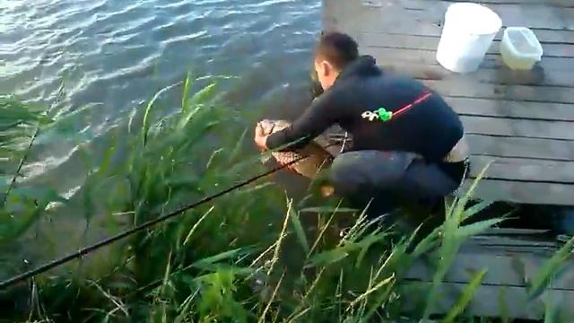 РиО - 23 июня 2018г. - карп на 6,7кг возвращается в водоём в обмен на БЕСПЛАТНУЮ рыбалку смотреть онлайн