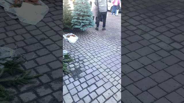 Отак гурт Волонтерів допомагає збирати кошти, дуже гарно співають, дякую їм за підтримку🇺🇦🇺🇦🇺🇦 смотреть онлайн