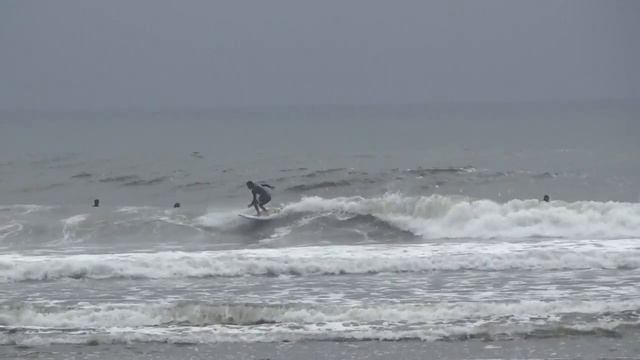 Barracuda 5'4" смотреть онлайн
