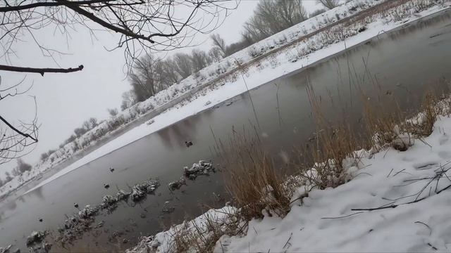 Karda Mühre ile Yaptığım Ördek Avlarım (-15)| Duck hunting | охота на уток net vuruşlar karavanala смотреть онлайн