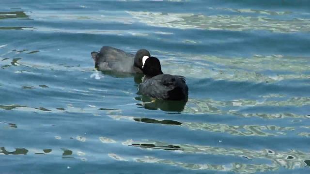 2 я часть парка 24 06 20г смотреть онлайн