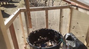 Теплая поилка для пчел весной