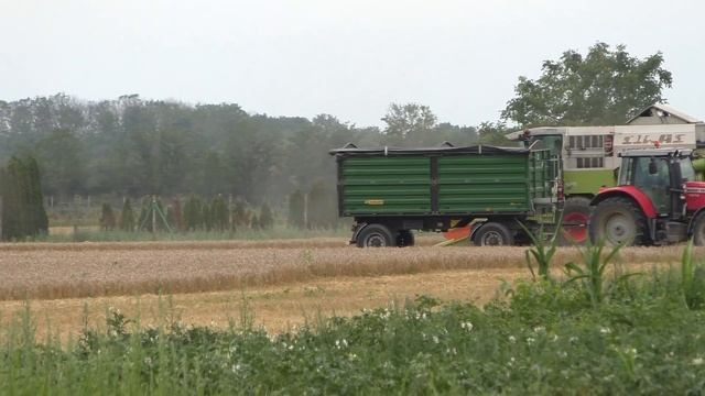 │2020.07.24.│Claas Mega 360 & Dominator 208│Árpa aratás│Barley harvest│ смотреть онлайн