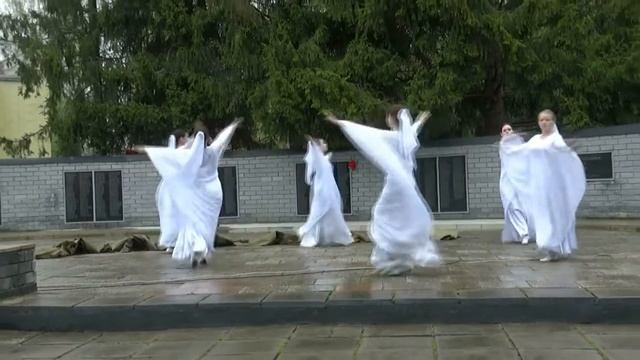 ТАНЕЦ БЕЛЫЕ ЖУРАВЛИ! смотреть онлайн