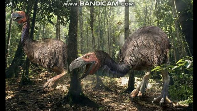 Gastornis Sounds смотреть онлайн