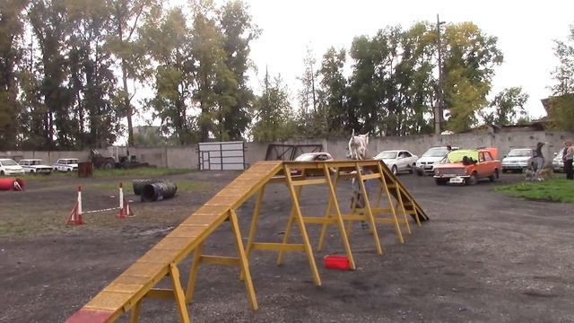 Ника бум смотреть онлайн