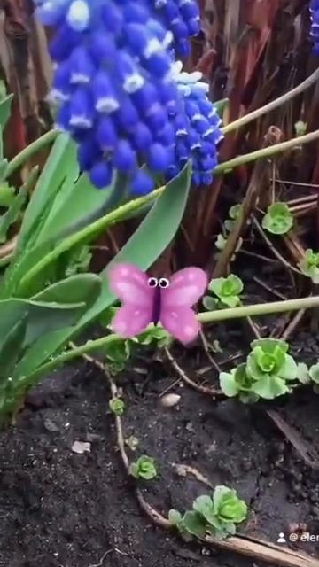 Мускари-запах весны! смотреть онлайн