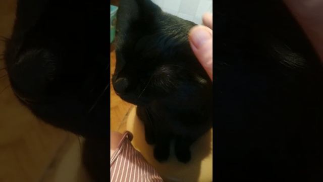 Доброе утро! четверг 🌹 смотреть онлайн