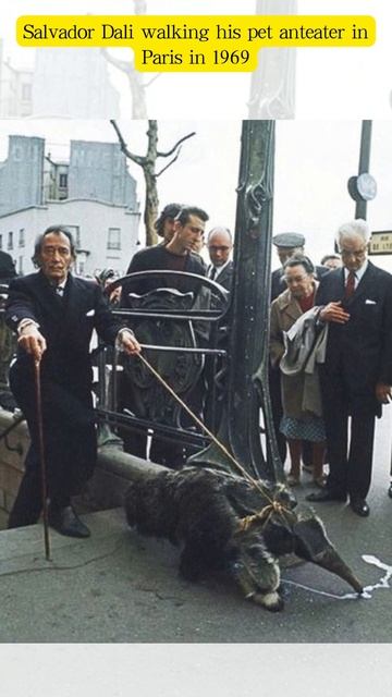 Salvador Dali walking his pet anteater in Paris in 1969 смотреть онлайн