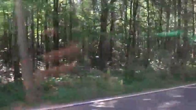 Москва, автобус 775 смотреть онлайн