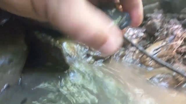 Catching River Crabs with Shikari Shambu Vlogging смотреть онлайн