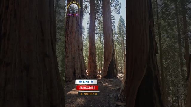 اتقوا الشبهات смотреть онлайн