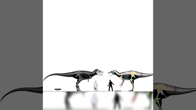 Bistahieversor And Maip Size Comparison смотреть онлайн