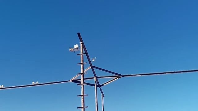 Белая Бакинка смотреть онлайн