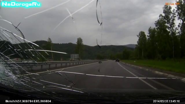 бычье на дороге смотреть онлайн