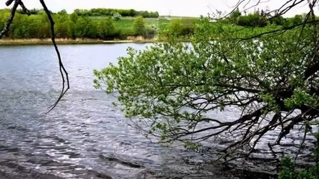 Под окном черёмуха колышется смотреть онлайн