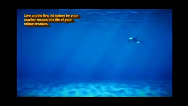 The Killer Whale Namu Song смотреть онлайн