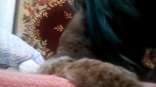 Няшкаемся с Клео смотреть онлайн