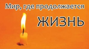 Мир где продолжается Жизнь