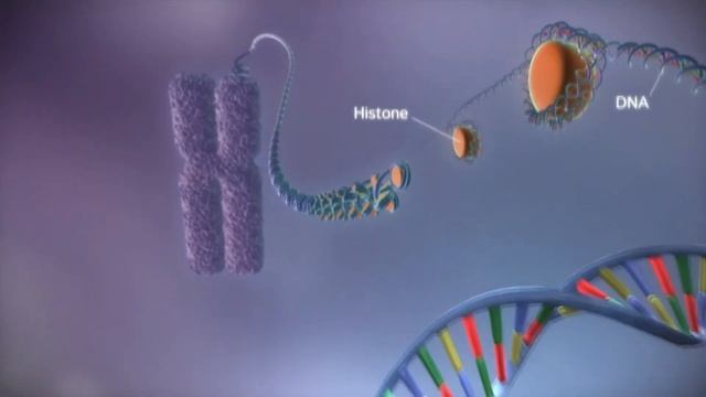 The Ultimate Medical Intro: Unveiling Hidden Secrets | Aftadul Islam смотреть онлайн