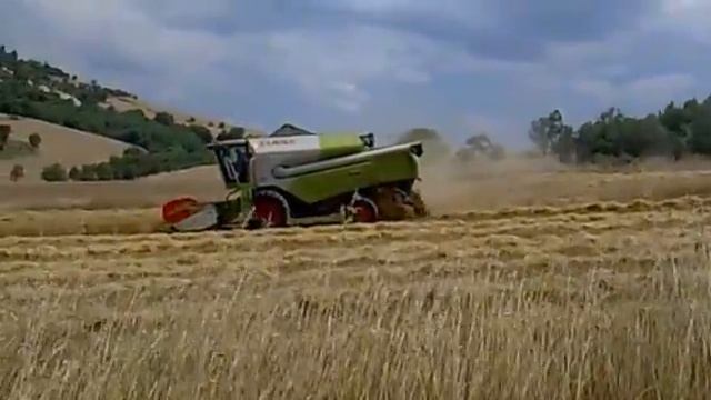 CLAAS LEXION 560 + CLAAS TUCANO 450 NΕΟΧΩΡΙ ΓΡΕΒΕΝΑ GREVENA GREECE 2011 смотреть онлайн