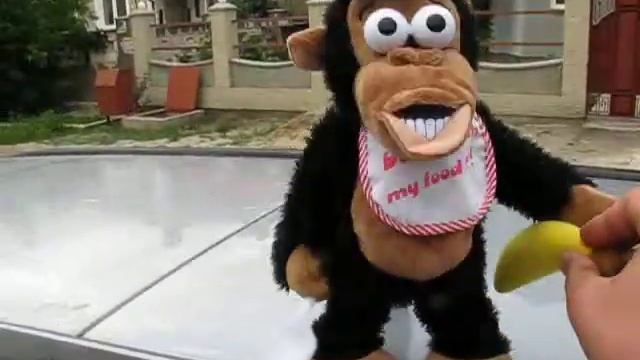 обезьяна псих и банан смотреть онлайн